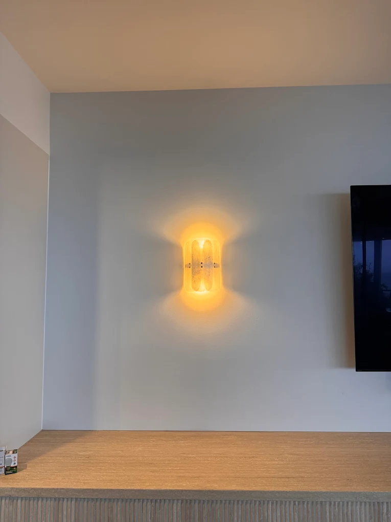 Feature wall sconce — living room